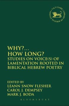 why? how long? studies on voices of lamentation rooted in biblical hebrew poetry book cover